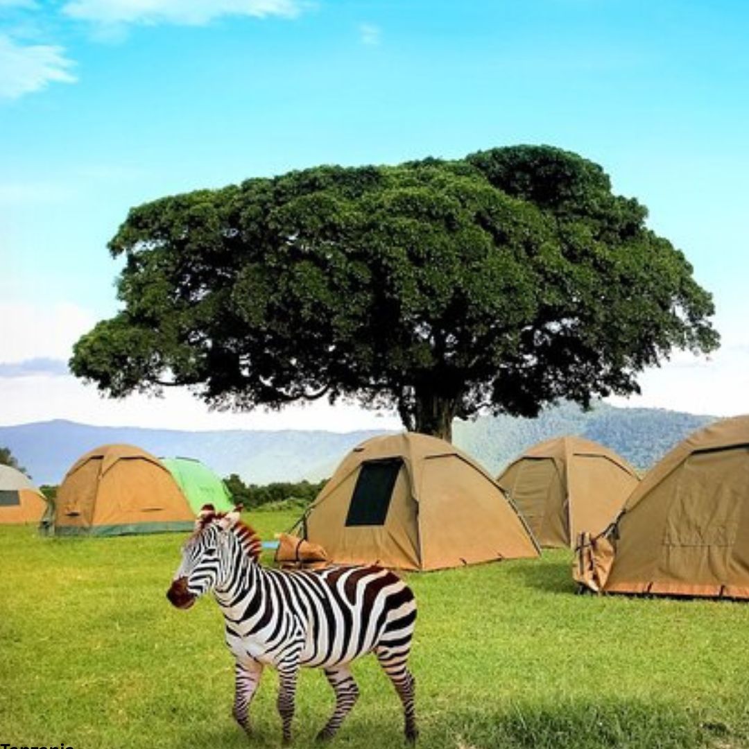 Tarangire, Ngorongoro Crater Camping Safari