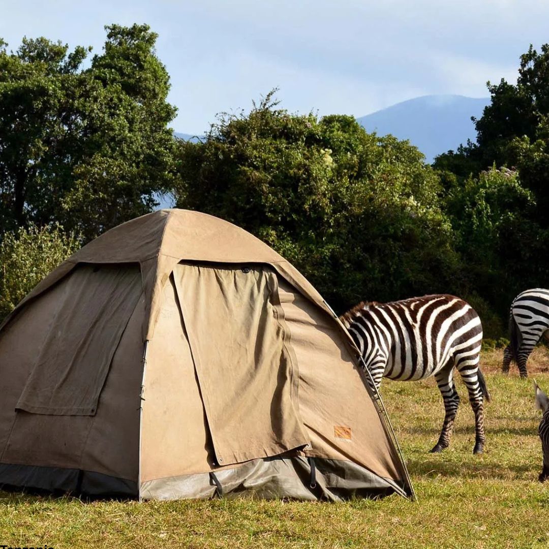Tarangire, Serengeti & Ngorongoro Camping Safari