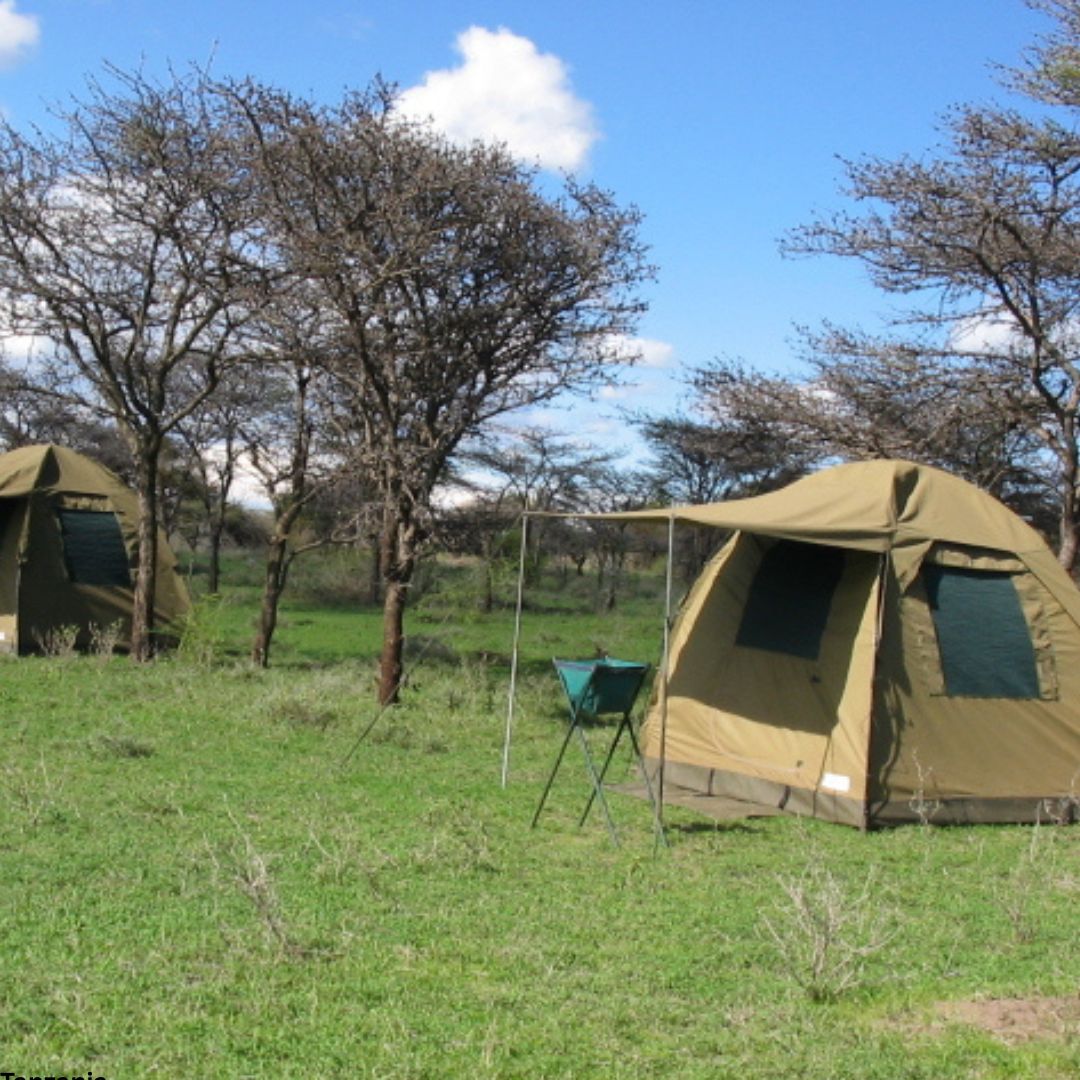 Northern Circuit Budget Camping Safari