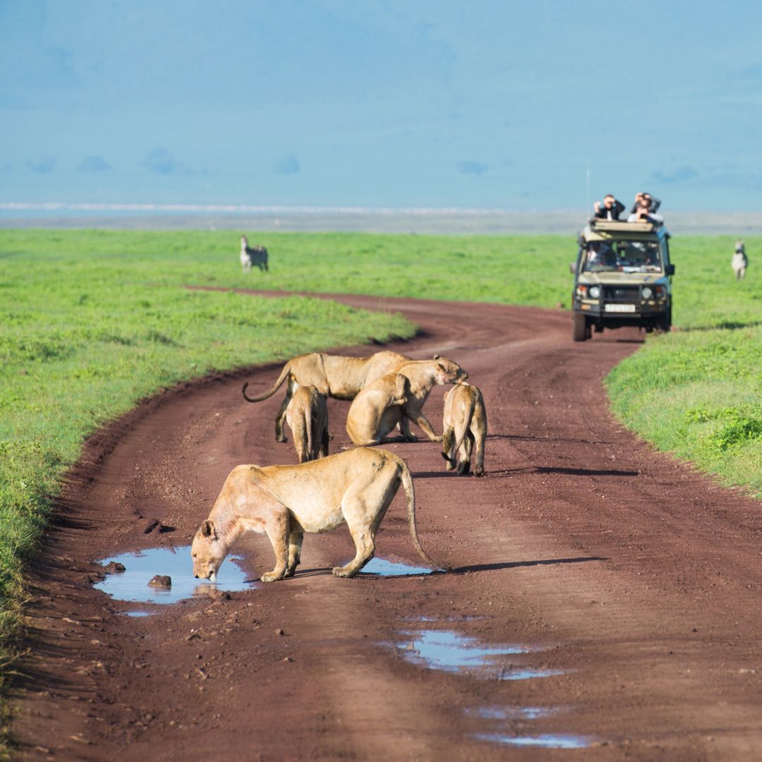 Tanzania’s Hidden Gems in Style