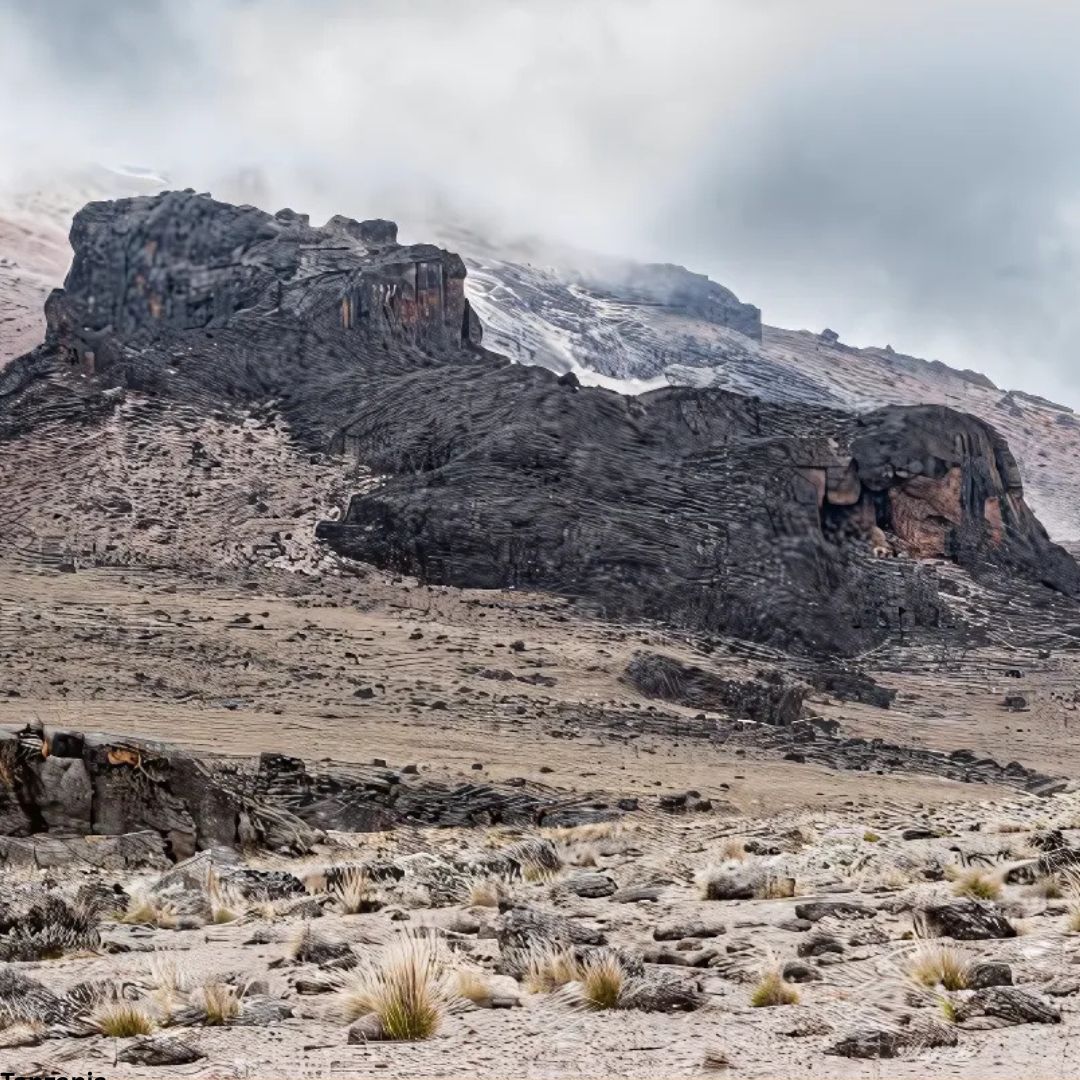 Machame Route (Whiskey Route)