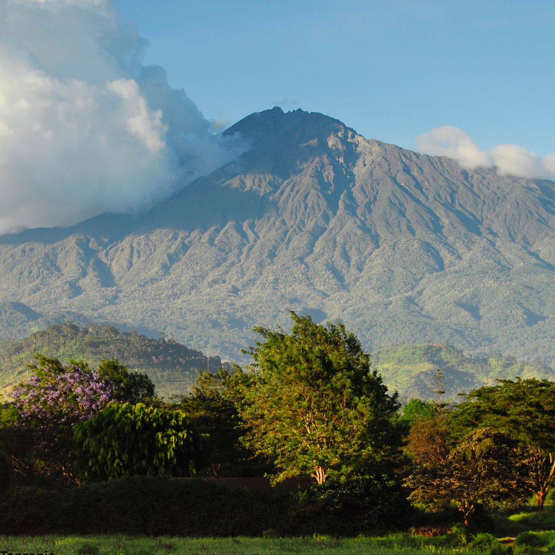 Mount Meru Climb with Arusha National Park Wildlife Walk