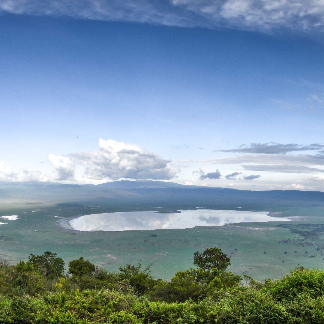 Ngorongoro Crater Day Trip