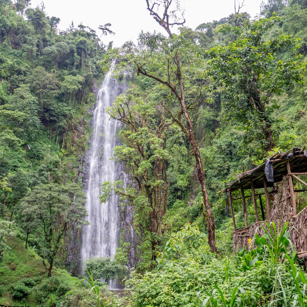 Materuni Waterfalls & Coffee Tour