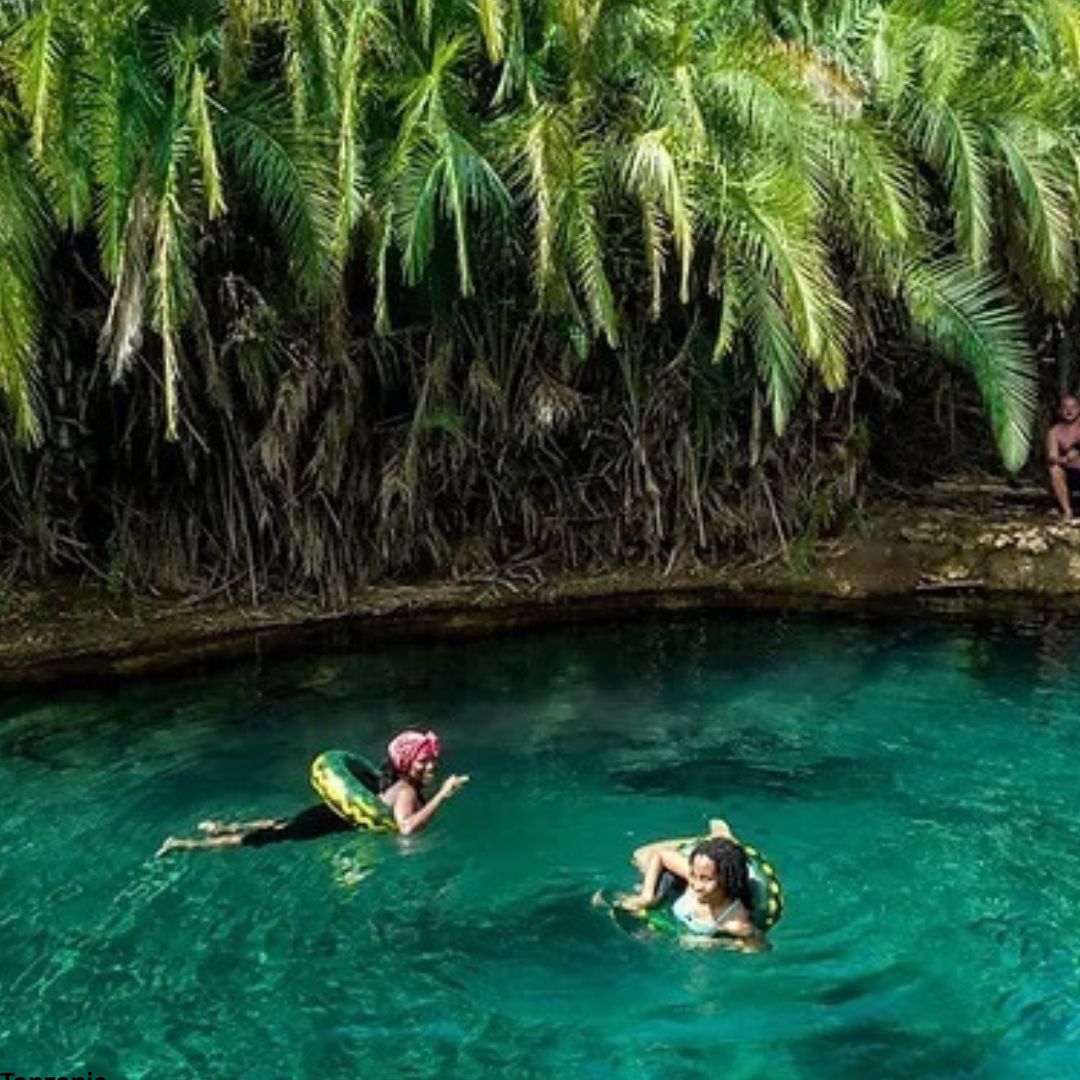 Kikuletwa Hot Springs (Chemka) Day Trip