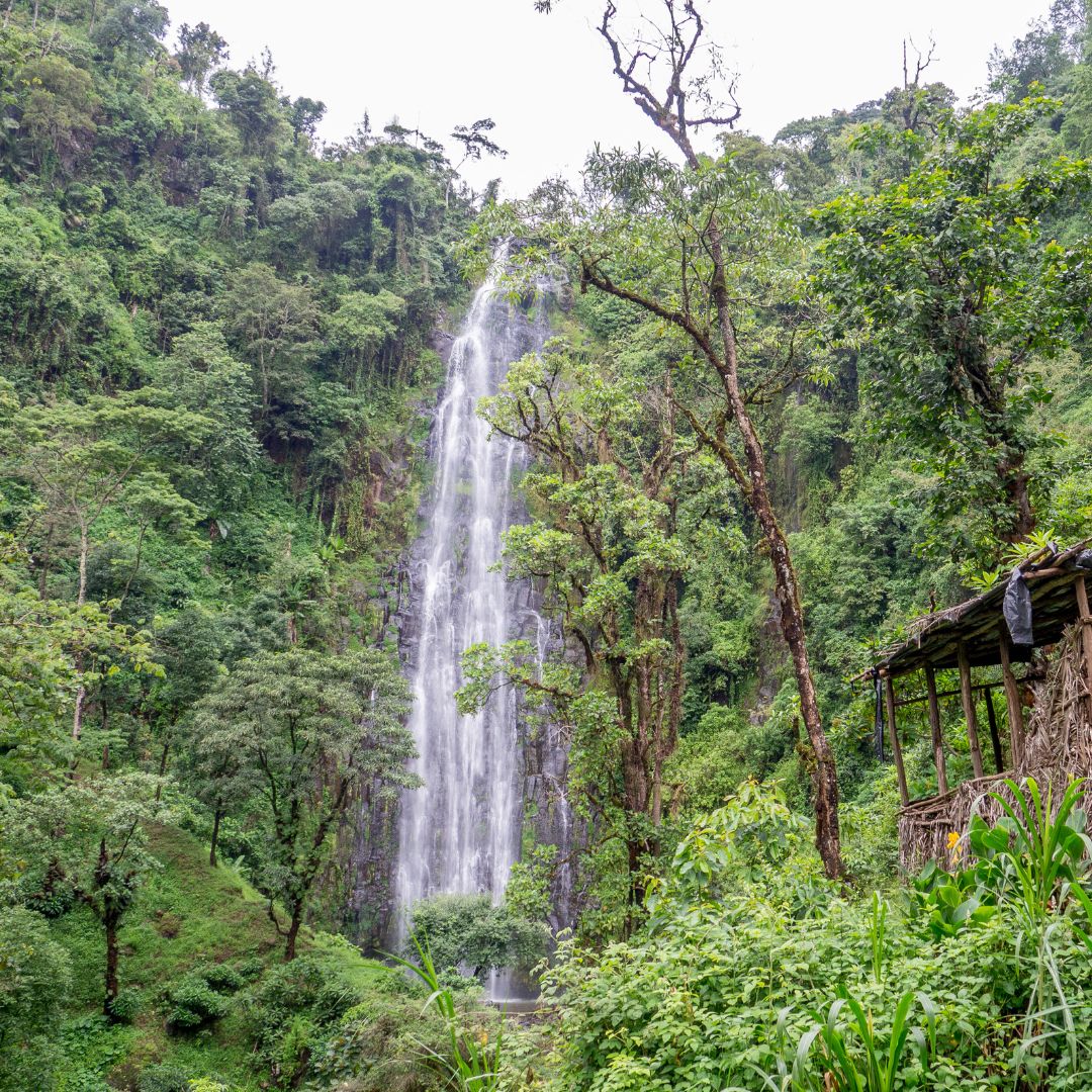 Materuni Waterfalls & Coffee Tour