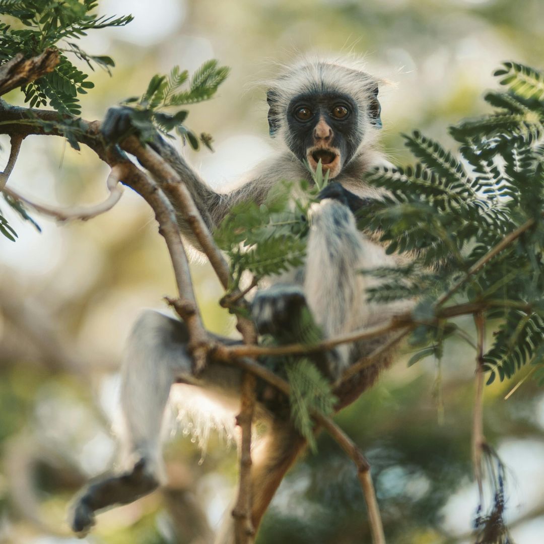 Tanzania’s Hidden Gems in Style