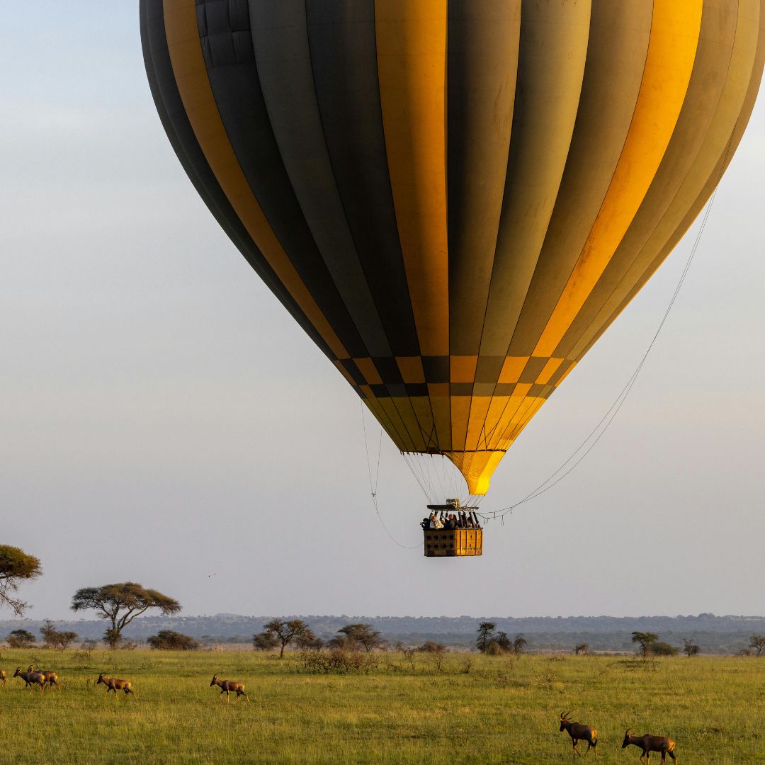 Serengeti Balloon Safari