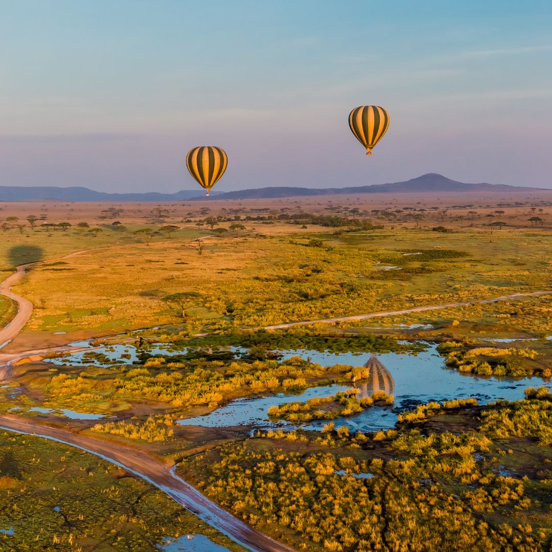 Northern Circuit Safari with Balloon Ride