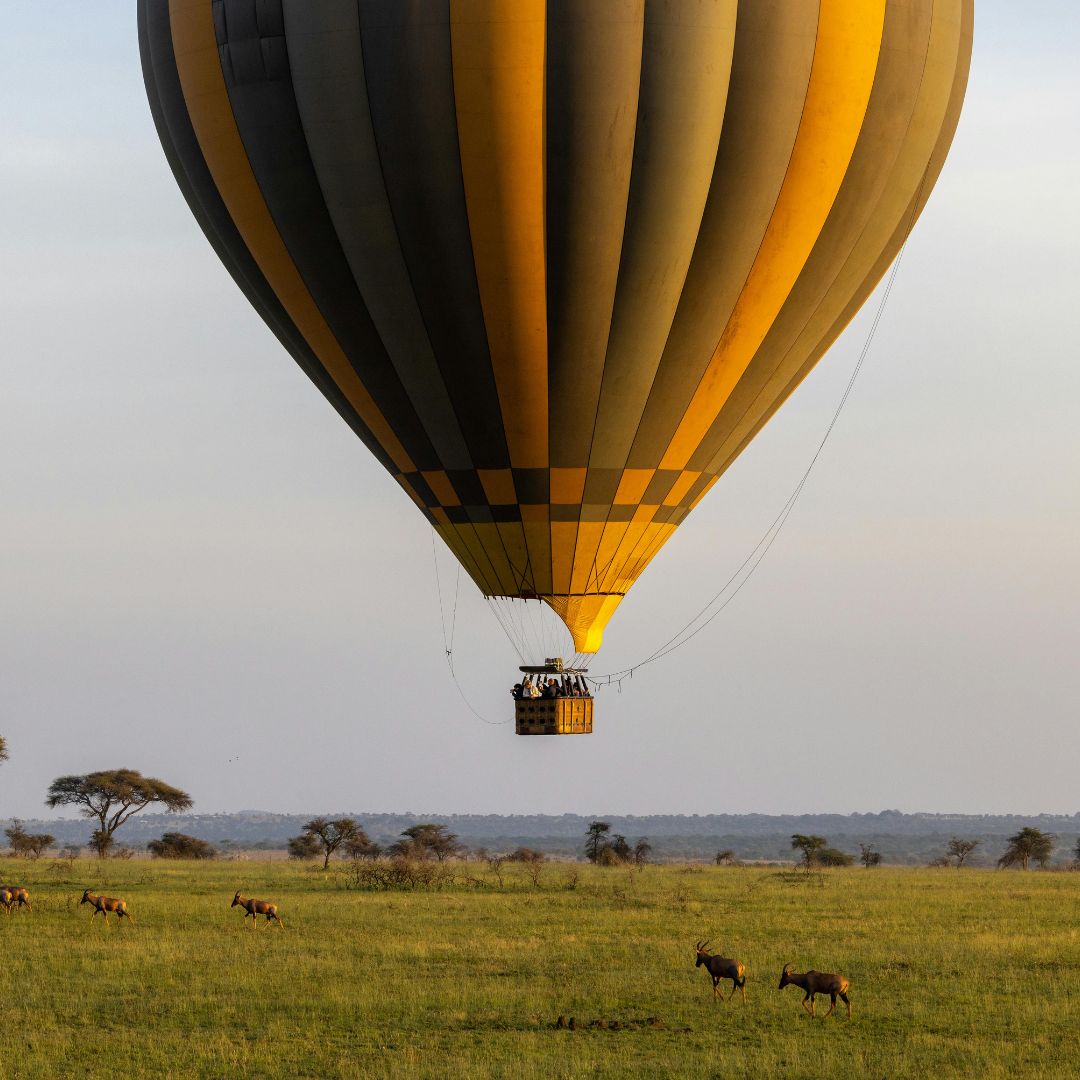 Tarangire Safari with Balloon Ride